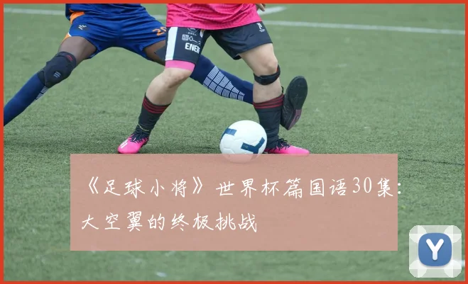 《足球小将》世界杯篇国语30集：大空翼的终极挑战