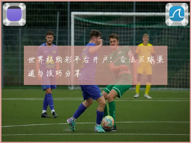世界杯购彩平台开户：合法买球渠道与技巧分享