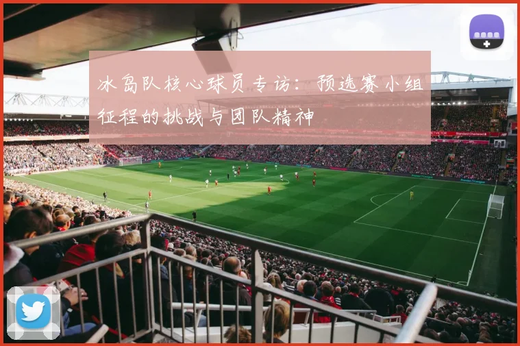 冰岛队核心球员专访：预选赛小组征程的挑战与团队精神