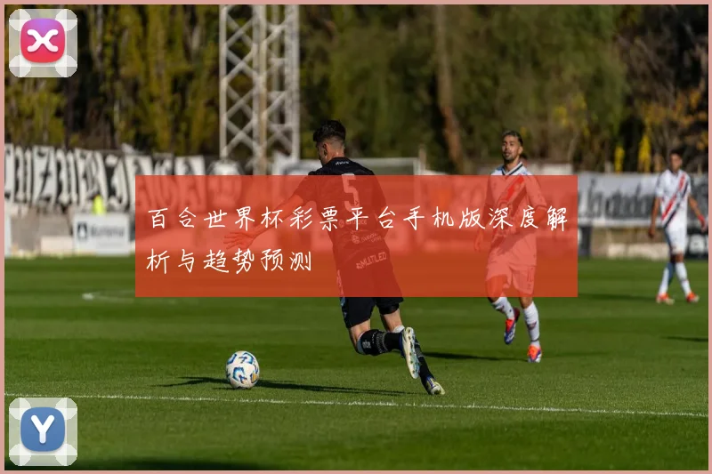 百合世界杯彩票平台手机版深度解析与趋势预测