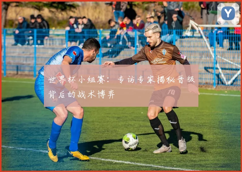 世界杯小组赛:专访专家揭秘晋级背后的战术博弈