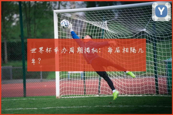 世界杯举办周期揭秘:每届相隔几年?