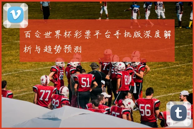 百合世界杯彩票平台手机版深度解析与趋势预测
