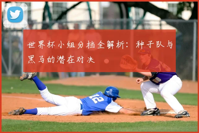 世界杯小组分档全解析：种子队与黑马的潜在对决
