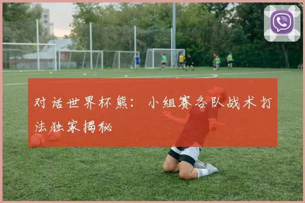 对话世界杯熊：小组赛各队战术打法独家揭秘