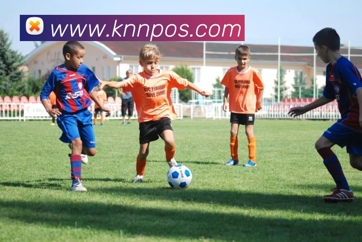 开云手机入口登录官网平台生态图