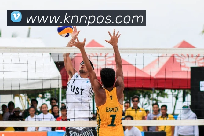 开云手机入口登录官网全站App